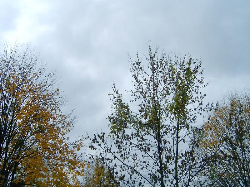 20101023 032.jpg